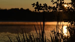 Auringonnousu järvellä, valo tulee oksien läpi