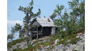 Mäessä oleva harmaa puumökki. Kuvan edustalla latvasta katkennut mänty ja kivikkoa.