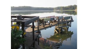 Elokuinen mattolaituri.