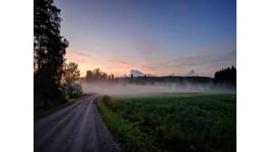 Usvainen auringonnousu vihreässä peltomaisemassa.