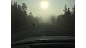 Aamuruuhkaa in the middle of nowhere