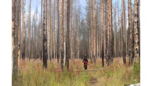 Pyöräretki kulotetussa metsässä