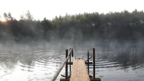 Usvainen lampi ja laituri.