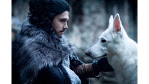 Topias Kanto Jon Snow'n hahmossa.