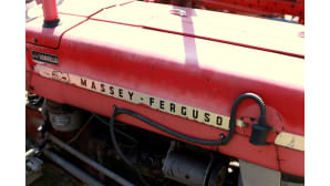 Polovelan Papattajien vanha Massey-Ferguson -traktori.