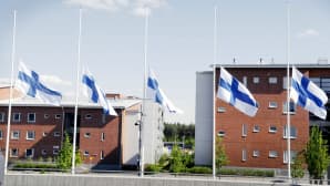 Suruliputus Hyvinkään kaupungintalon edustalla.