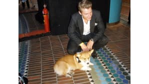 Venäjän Alex Sparrow ja Elvis-koira.