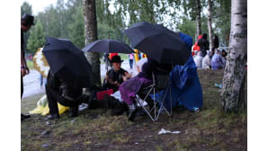 Festarikansaa Joensuun linnunlahdella.