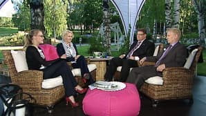 Vieraina Mia-Petra Kumpula-Natri (SDP), Timo Soini (PS), sekä Kimmo Tiilikainen (Kesk.).