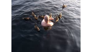 kesäkuvakisa Teija Sarna Lempäälä