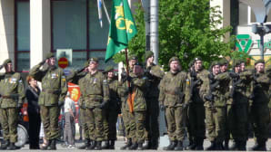Itä-Suomen sotilasläänin alueellinen puolustusvoimain lippujuhlapäivän paraati Joensuussa 2013.