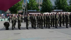 Itä-Suomen sotilasläänin alueellinen puolustusvoimain lippujuhlapäivän paraati Joensuussa 2013.