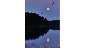 Superkuu Ylöjärvellä 23. kesäkuuta.