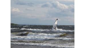 Surffaaja ratsastaa aalloilla