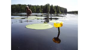 Mies uimassa
