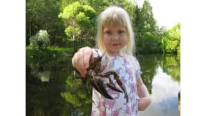 Tyttö pitää rapua kädessä