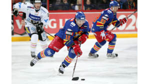 Steve Moses, Jokerit