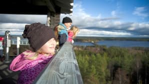 Mörkömaa sijaitsee Kirkkovuoressa, jonka laelle on rakennettu honkainen näkötorni, josta aukeaa komeat Pääjärvi -maisemat.