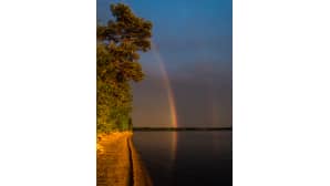 Sateenkaari aurinkoiselta rannalta kuvattuna synkkää taivasta vasten.