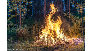 Juhannuskokko
