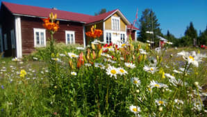 Kesäkuvakisa 2014