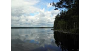 Kesäkuvakisa 2014