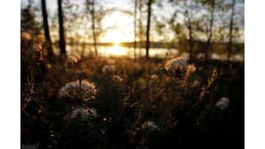 Kesäkuvakisa 2014