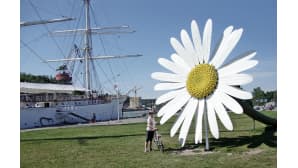 "Kukka Turussa"