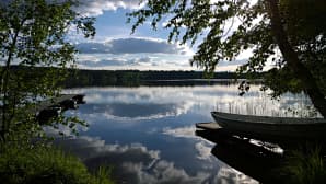 Iltavalokuva on otettu Sysmässä, Portamo-järven rannalla.