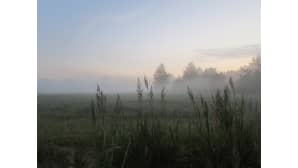 Usvan sävyttämä keskiyön hetki, Alahärmä