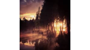 Kesäkuvakisa