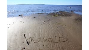 Kesäkuvakisa