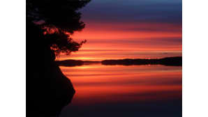 Kesäkuvakisa