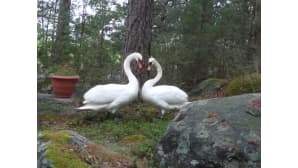Kesäkuvakisa