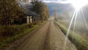 Mökkitie auringonnousun aikaan