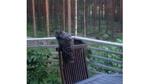 Kesäkuvakisa 2014