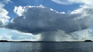 Kesäkuvakisa