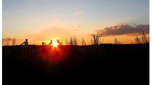 Ihmisiä pellolla aurngonlaskun aikaan