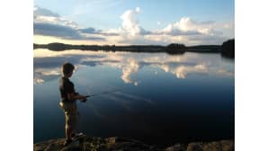 Kesäkuvakisa