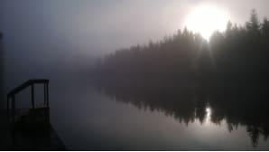 Kesäkuvakisa