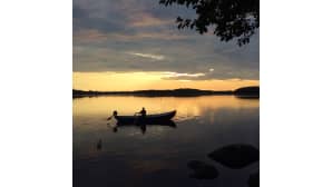 Kesäkuvakisa