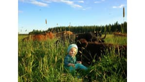 Kesäkuvakisa