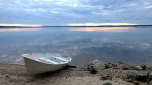 Kesäkuvakisa