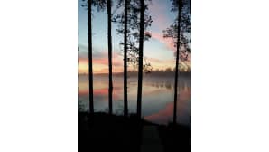 Kesäkuvakisa