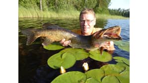 Kesäkuvakisa