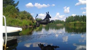 Kesäkuvakisa
