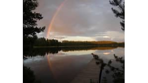 Kesäkuvakisa