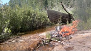 Kesäkuvakisa 2014