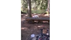 kesäkuvakisa