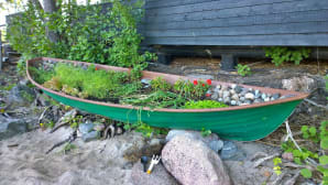 kesäkuvakisa